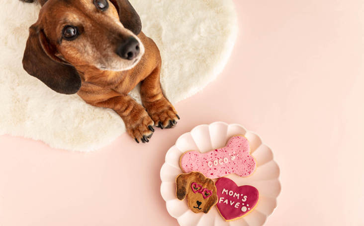 Fluff & Crumble Personalised Dog Biscuits