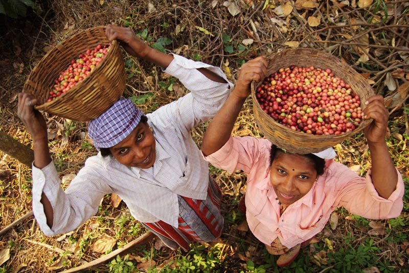 Supporting Small Scale Farming Communities