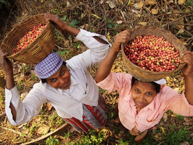 Supporting Small Scale Farming Communities