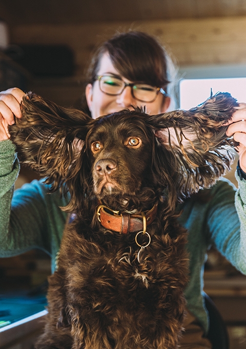 Oscar in the Workshop seeking attention