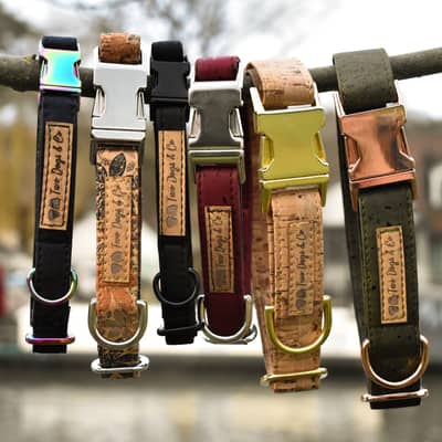 cork dog collars