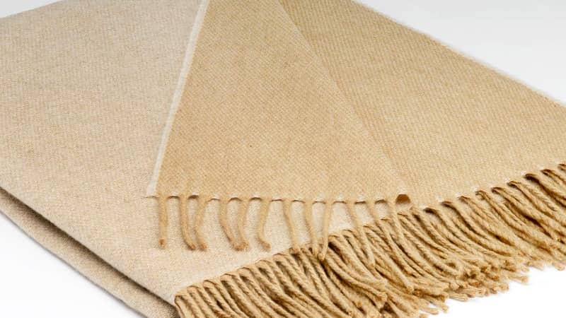Cashmere Blanket in Camel