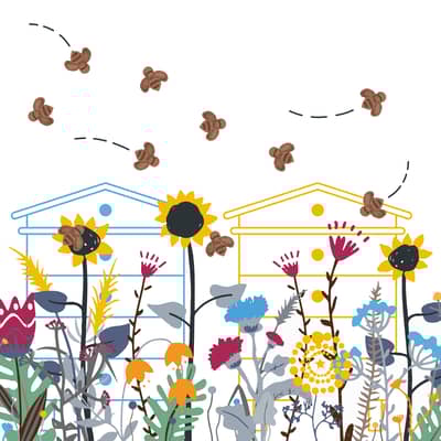 Blooming Bees, each pack helps save British pollinators