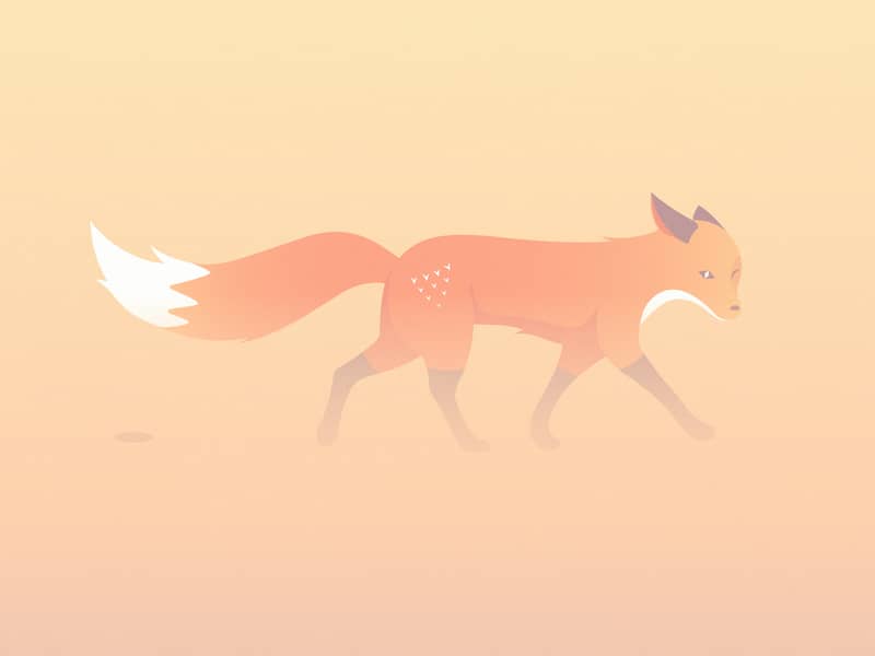 Quinn the Fox illustration