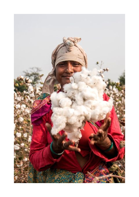 Cotton Farmer