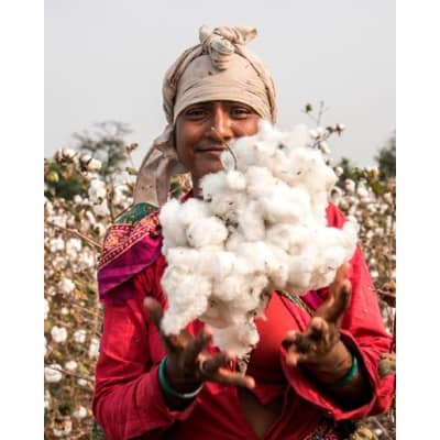 Cotton Farmer