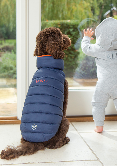 Stylish and warm coats