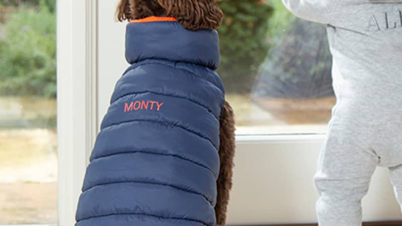 Stylish and warm coats