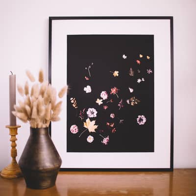 Floral Fine Art Prints