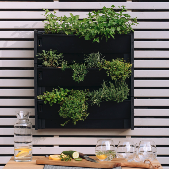 Gin Botanics Herb Kit with Chopping Board