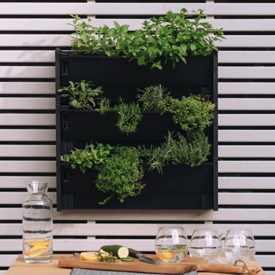 Gin Botanics Herb Kit with Chopping Board