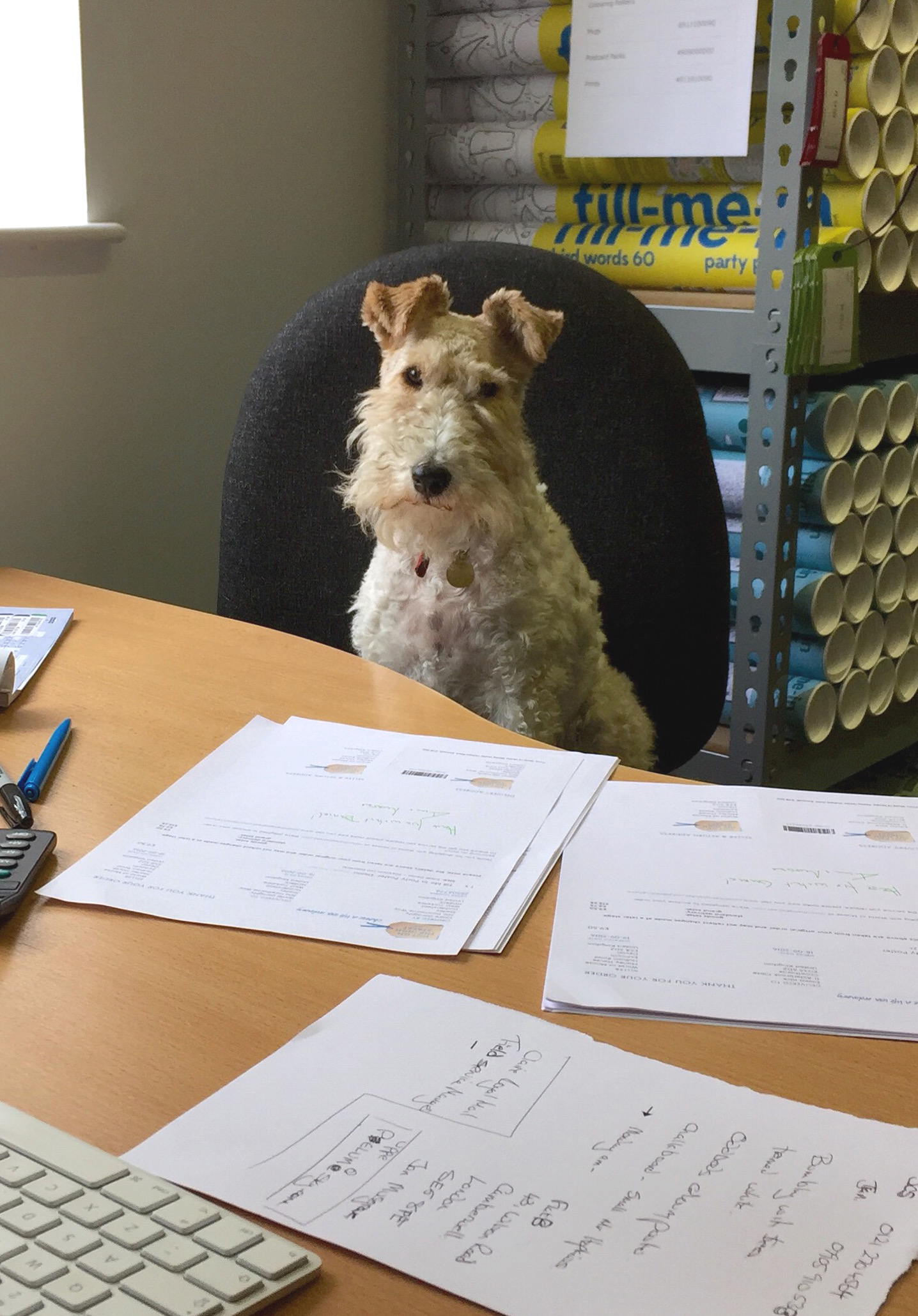 Nutmeg in World of Moose office