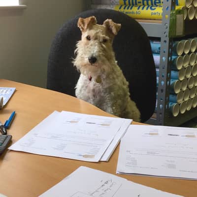 Nutmeg in World of Moose office