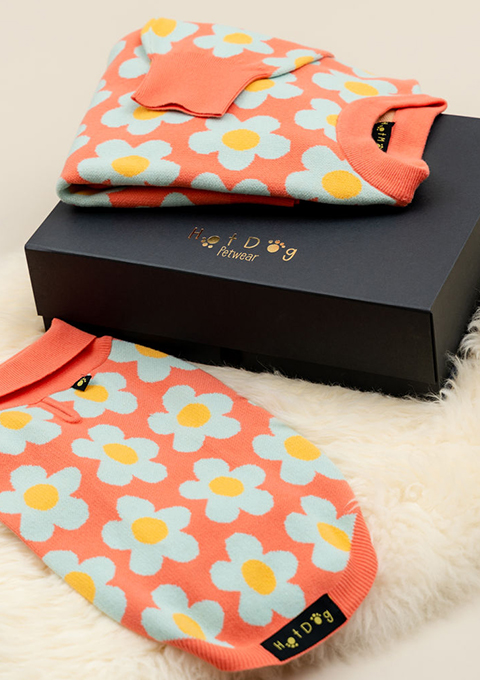 Hotdog Matching Owner Dog Jumper Gift Set with Gift Box Image