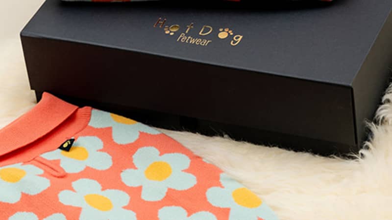 Hotdog Matching Owner Dog Jumper Gift Set with Gift Box Image