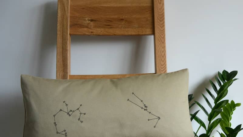 Sagittarius Taurus zodiac cushion