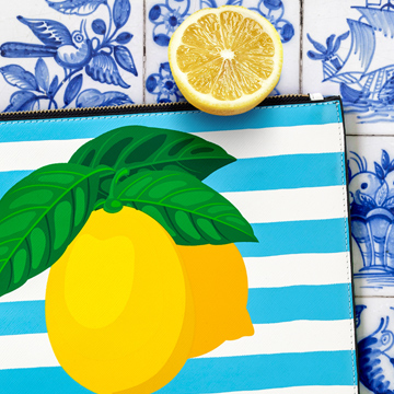 Anna Alexander handbag