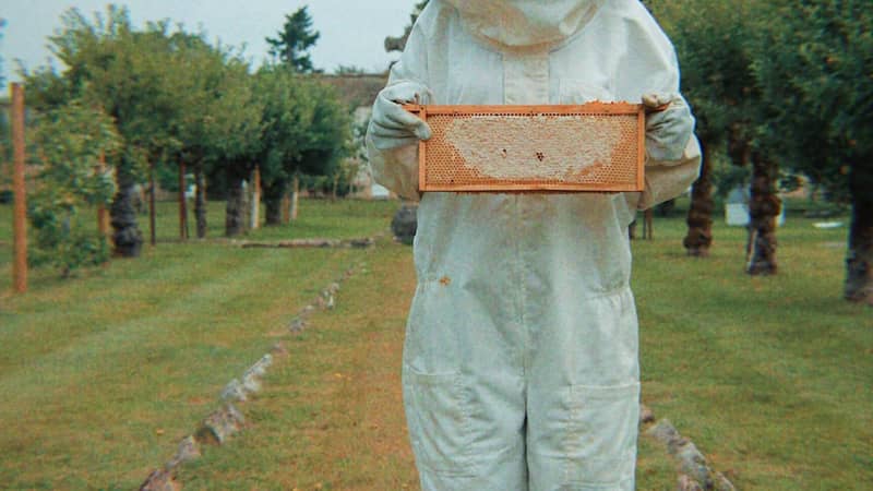 Beeble Beekeeper