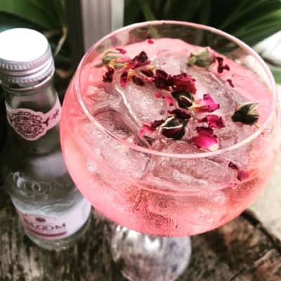 Stunning Rose Petals