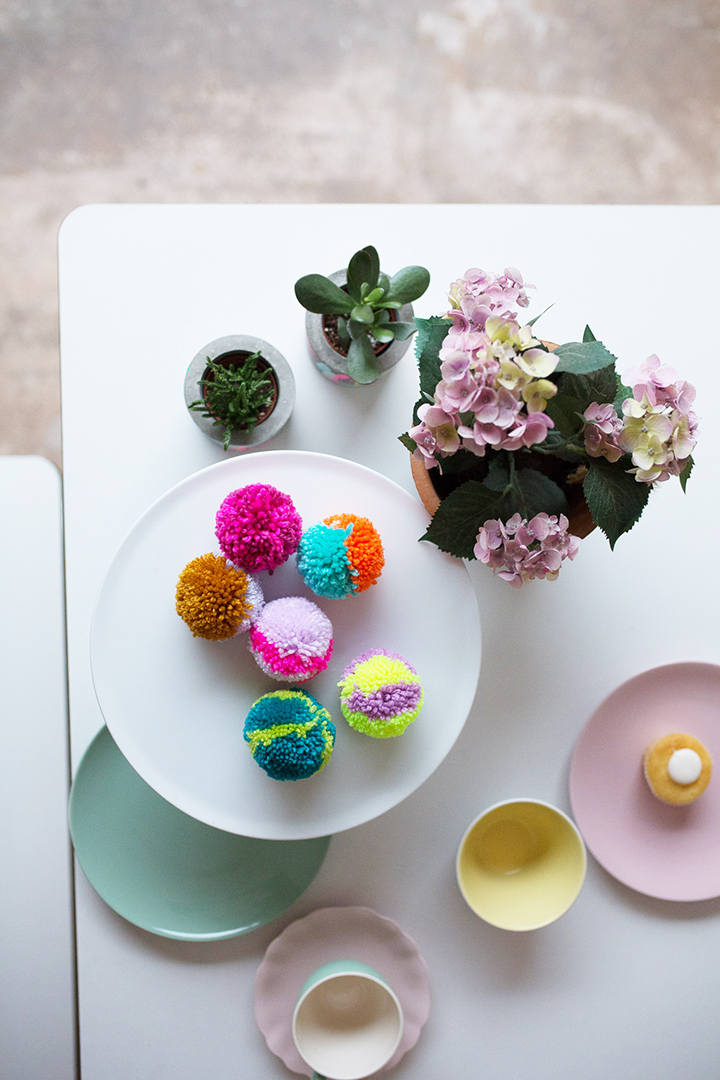 BON concrete pot and Bon Poms