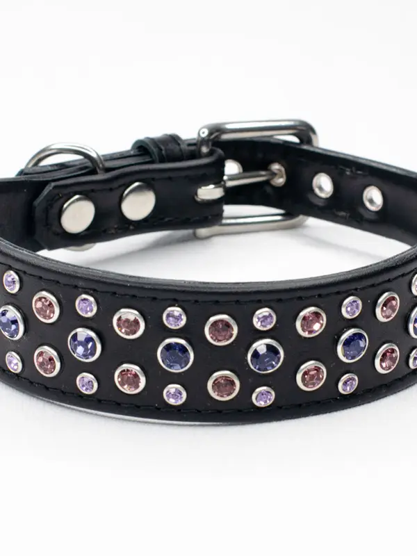 Crystal dog collars
