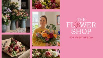 valentines day flower image