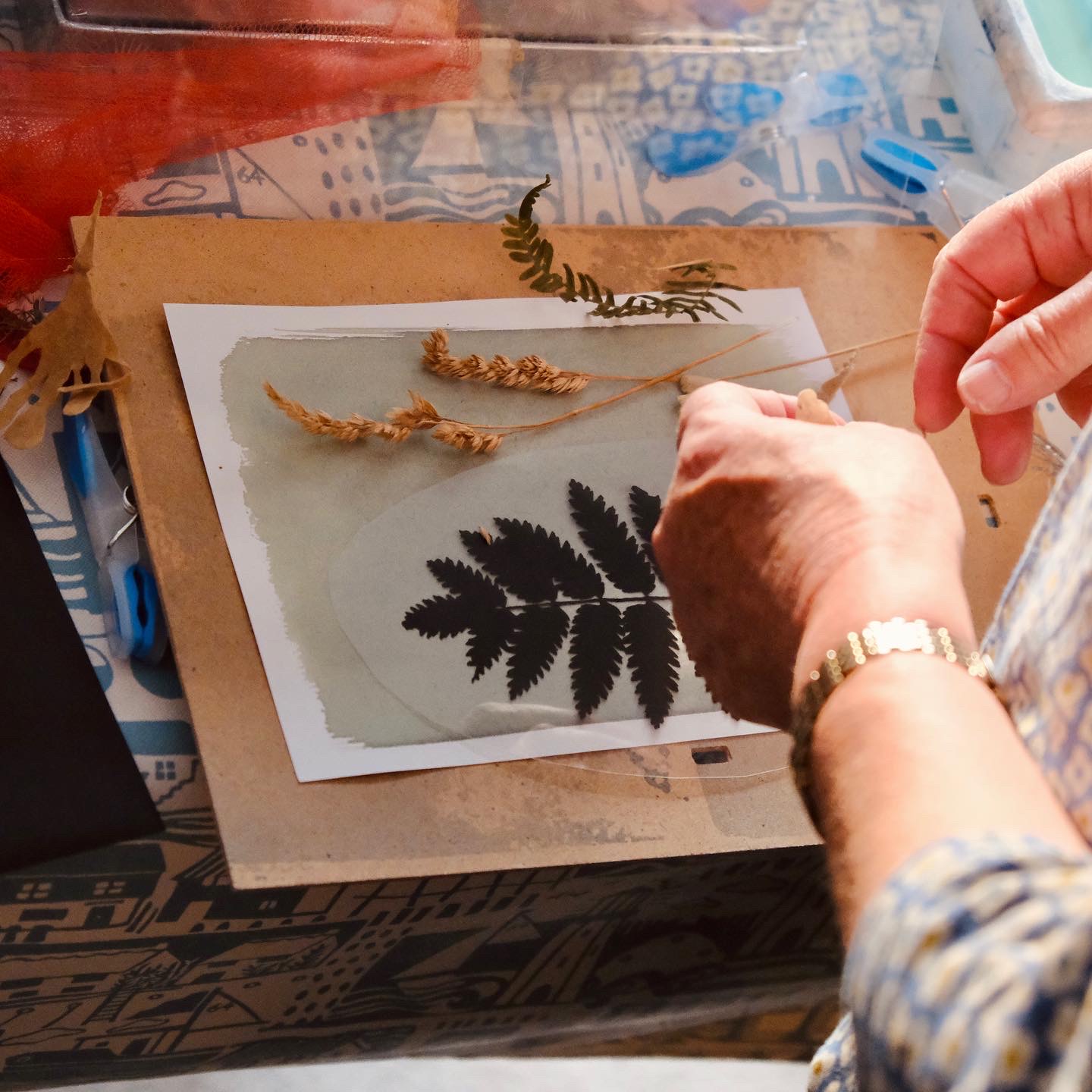 a cyanotype print being arranged