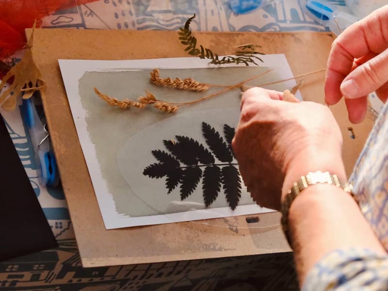 a cyanotype print being arranged