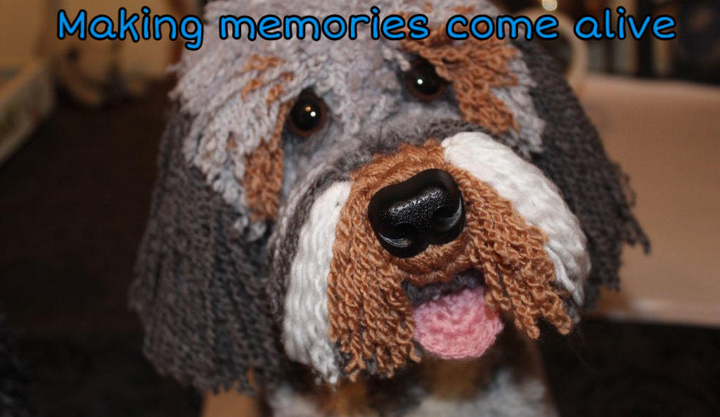 A tri-coloured cockapoo creation