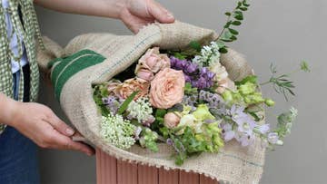 valentines day flower image