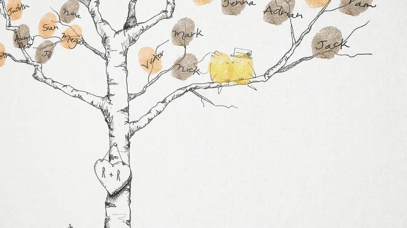 Birch Fingerprint tree