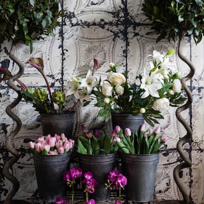 Vintage Garden Product