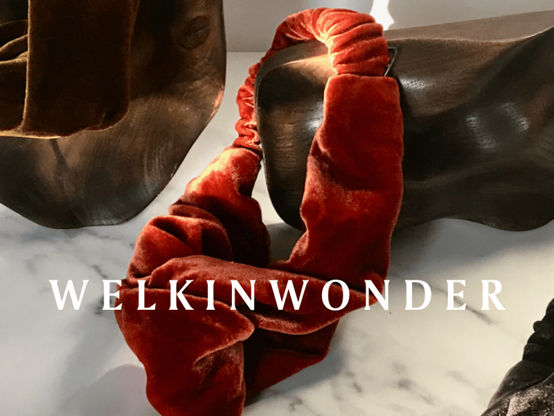 welkinwonder silk velvet hairband