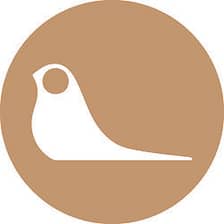 Design by Timber logo