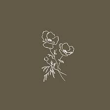 The Bridal Paperie logo