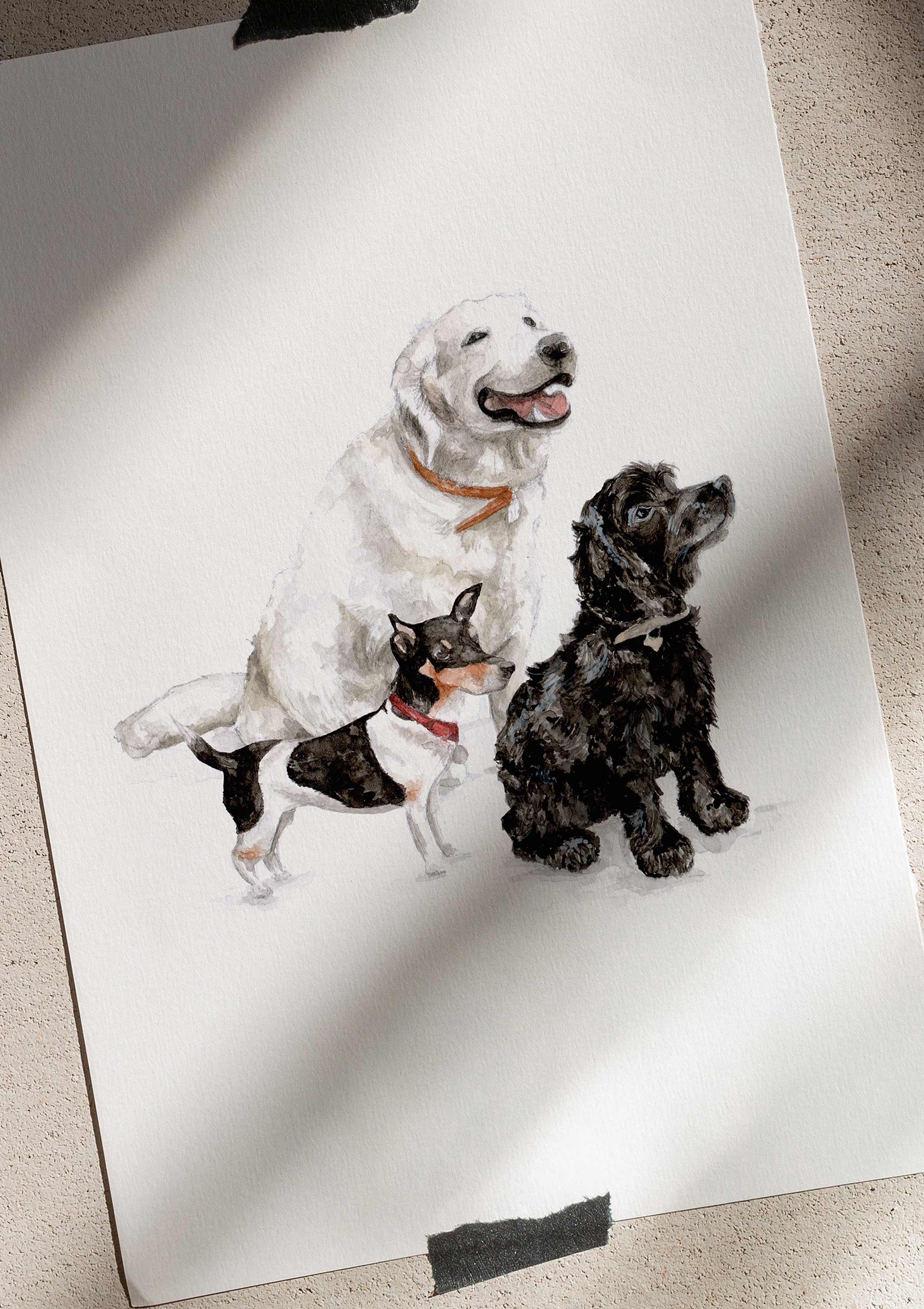 Dogs illustrations