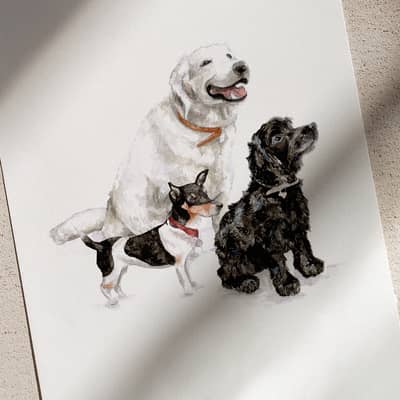 Dogs illustrations