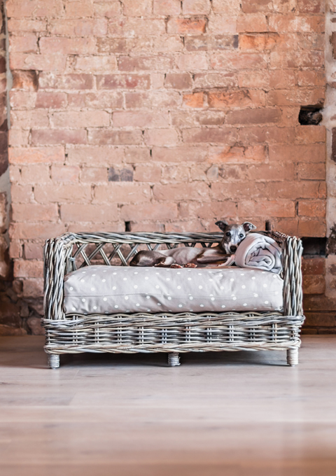 Raised Rattan Dog Bed