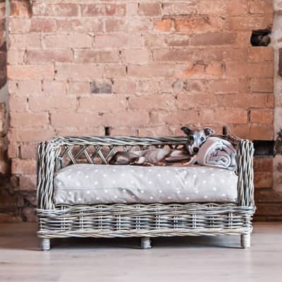 Raised Rattan Dog Bed