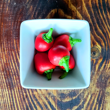 My love of colour, vibrance and growth, helped me create beutiful things. Now you can too. 