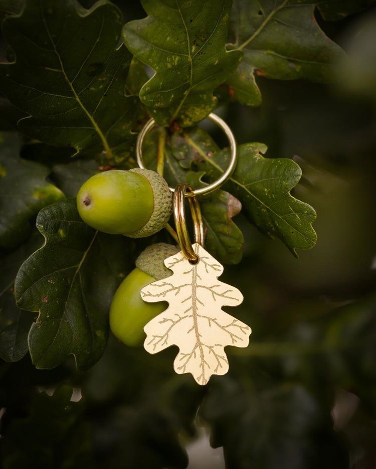 The Rambling Hound logo