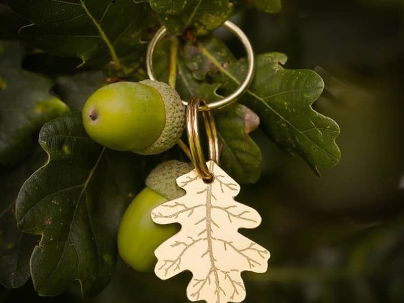 The Rambling Hound logo