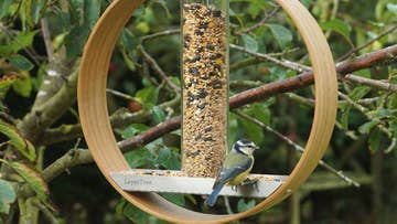 personalised bird feeder