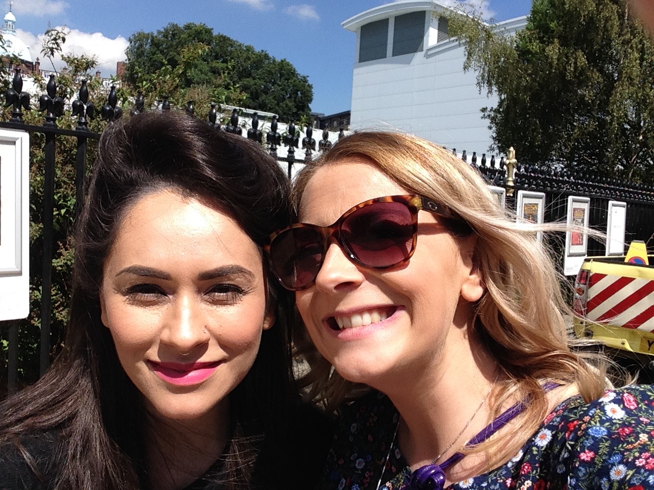 Steve's Minions (the brains behind the pony)