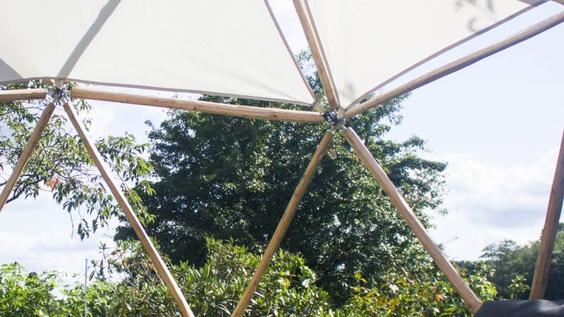 Inside the geodesic garden pod on a summers day