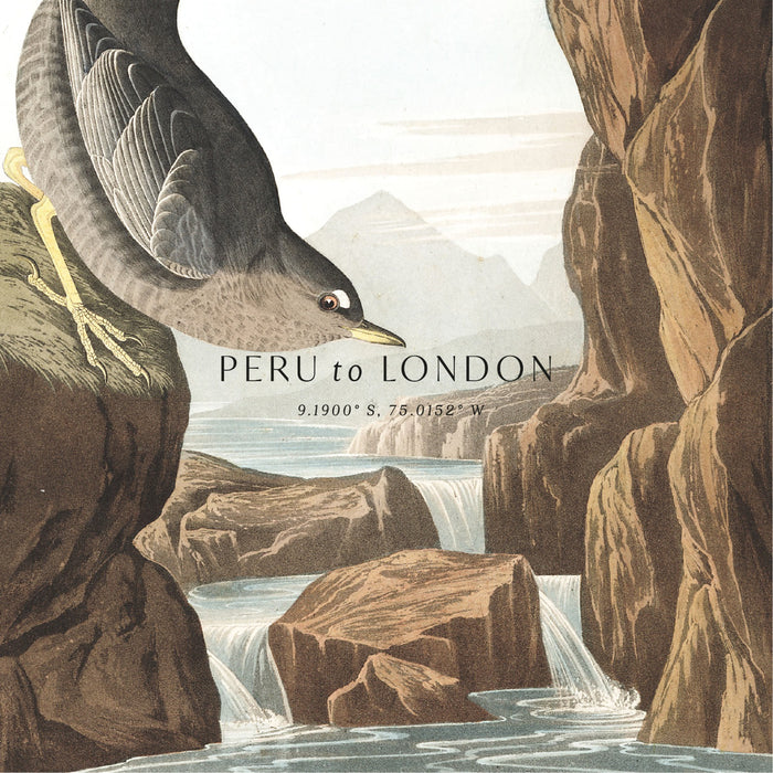 The Wild Botanist Affordable Handmade luxury scented candles