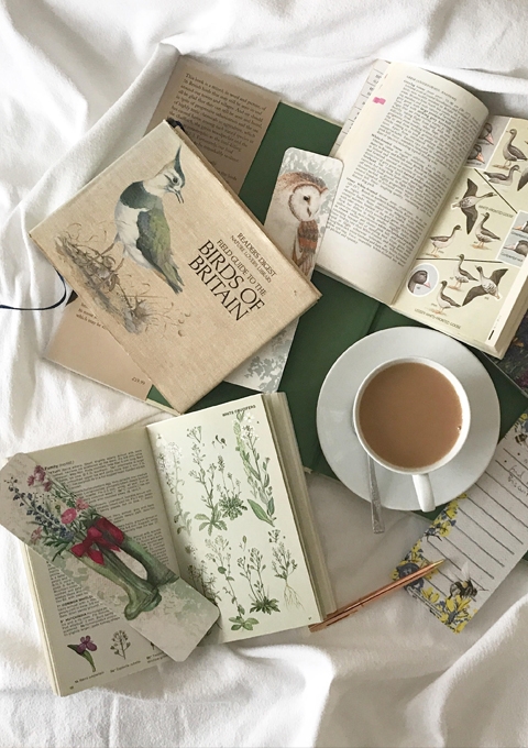 Collection of our Tearproof bookmarks enjoying a bright sunday morning