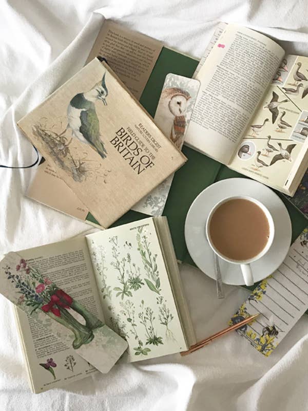 Collection of our Tearproof bookmarks enjoying a bright sunday morning