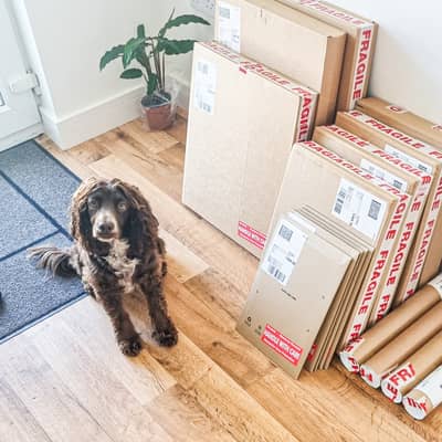 Meet Luna, our office security manager.