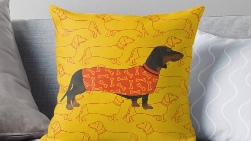 A colourful cushion featuring a Dachshund. Steve is wearing a designer coat and he sits on a background with another exclusive pattern designed by me.